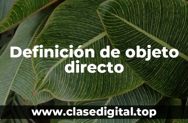 Definición técnica de objeto directo