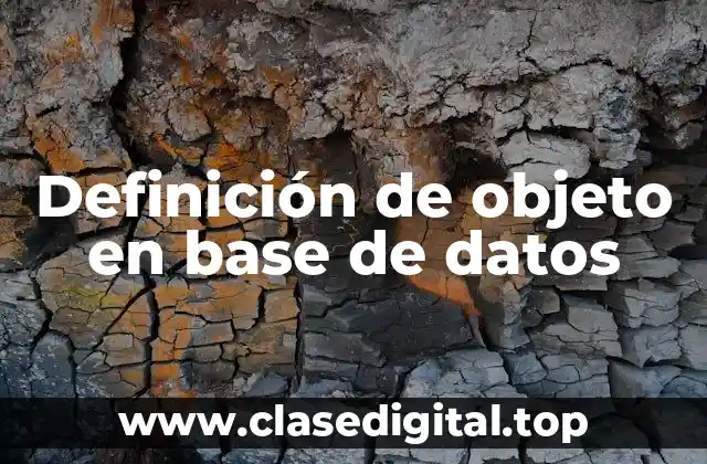 Definición de objeto en base de datos