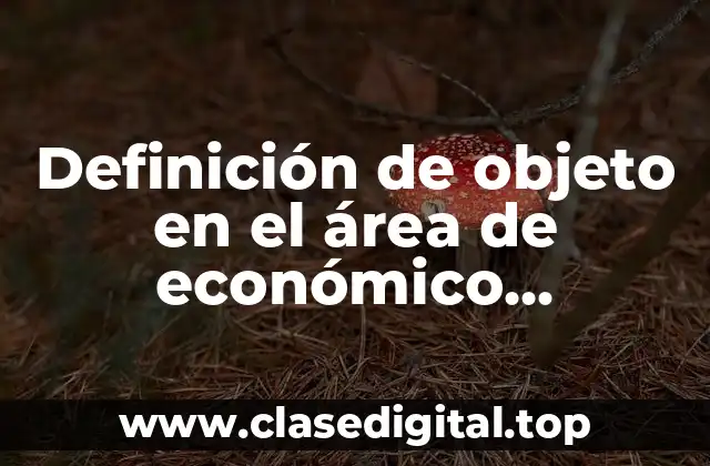 Definición de objeto en el área de económico administrativo