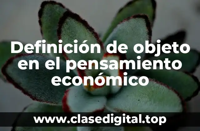 Definición de objeto en el pensamiento económico