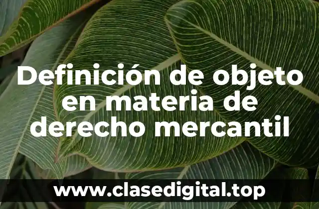 Definición técnica de objeto en materia de derecho mercantil