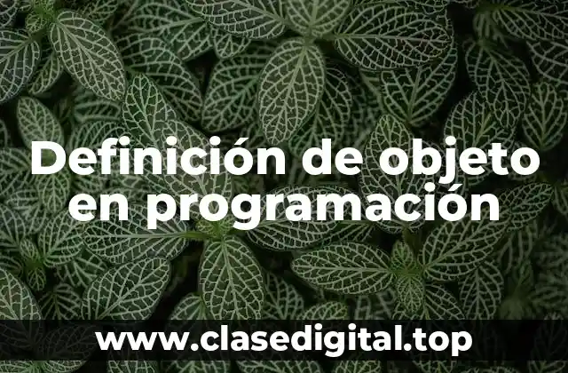 Definición de objeto en programación