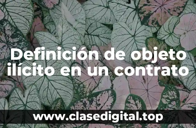 Definición de objeto ilícito en un contrato