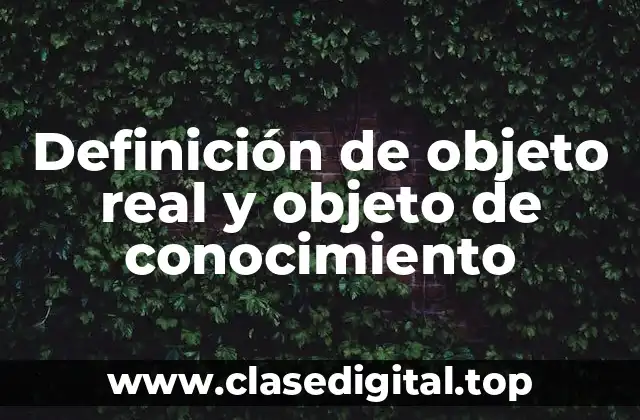Definición técnica de objeto real