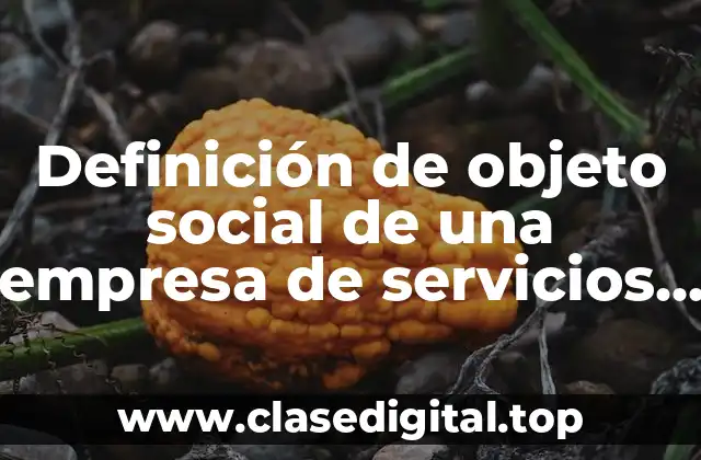 Definición de objeto social de una empresa de servicios generales