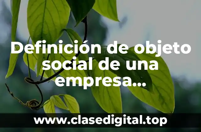 Definición de objeto social de una empresa distribuidora