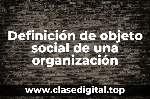 Definición de objeto social de una organización