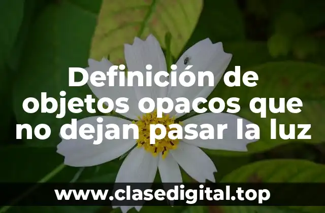 Definición de objetos opacos que no dejan pasar la luz