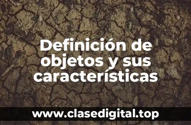 Definición de objetos y sus características