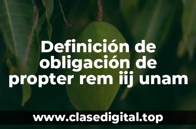 Definición de obligación de propter rem iij unam