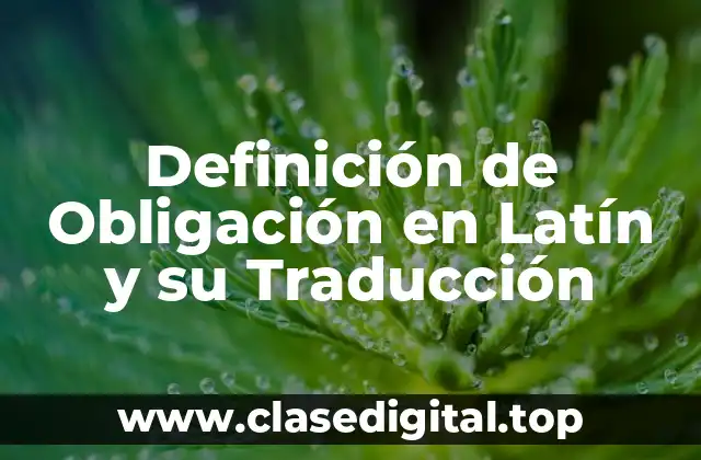 Definición Técnica de Obligación
