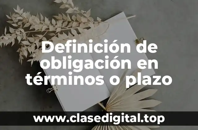 Definición de obligación en términos o plazo