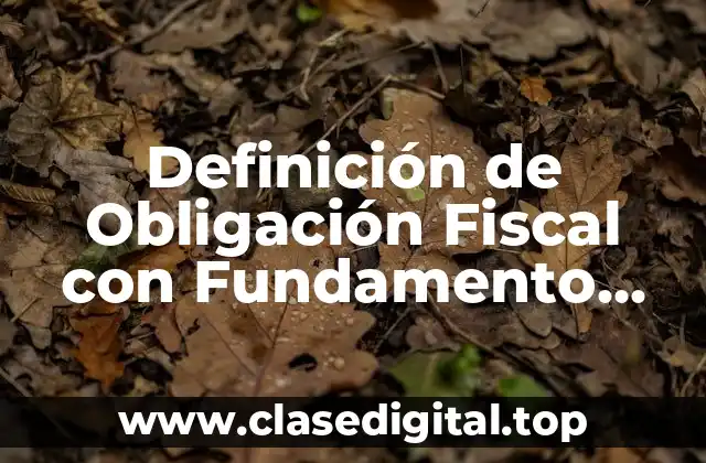 Definición de Obligación Fiscal con Fundamento Legal