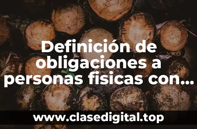Definición de obligaciones a personas fisicas con actividad empresarial