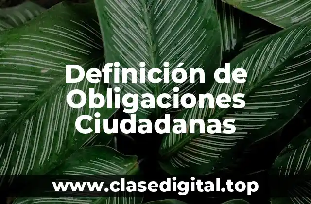 Definición de Obligaciones Ciudadanas