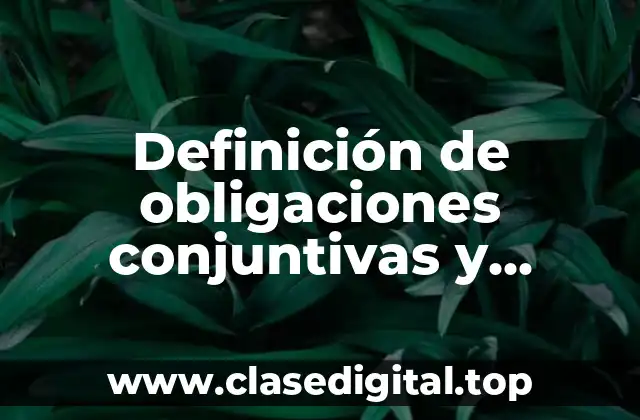 Definición de obligaciones conjuntivas y alternativas UNAM