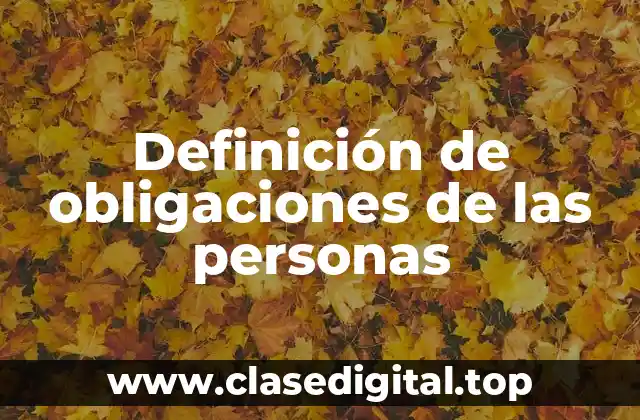 Ejemplos de obligaciones de las personas