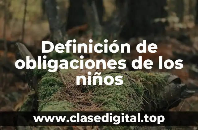Definición de obligaciones de los niños