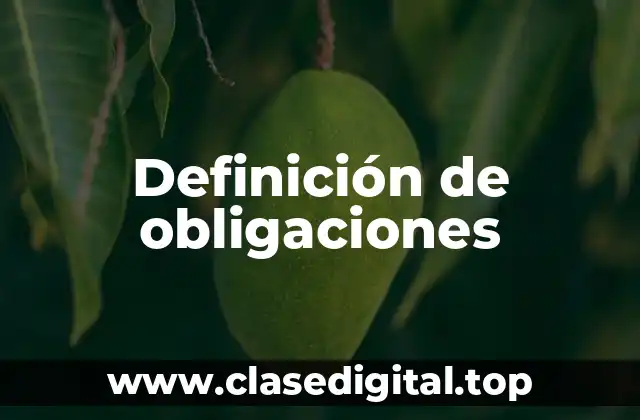 Ejemplos de obligaciones