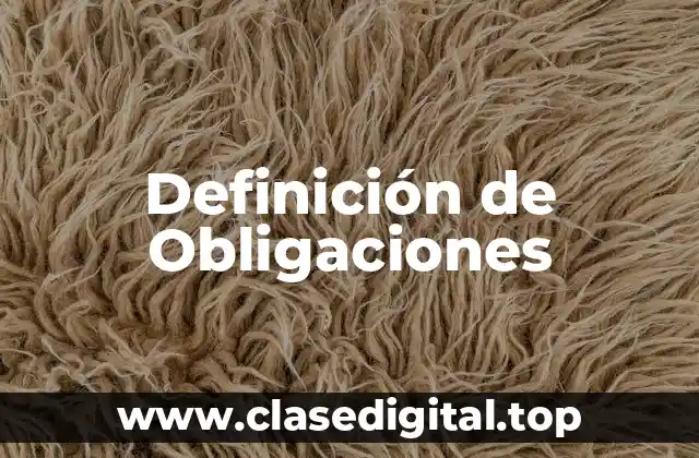 Definición técnica de Obligaciones