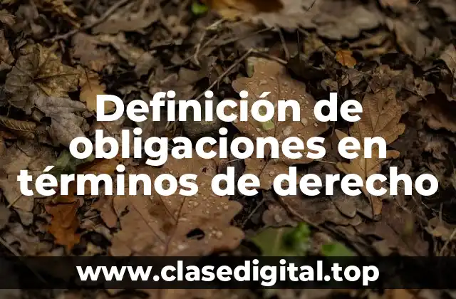Definición de obligaciones en términos de derecho