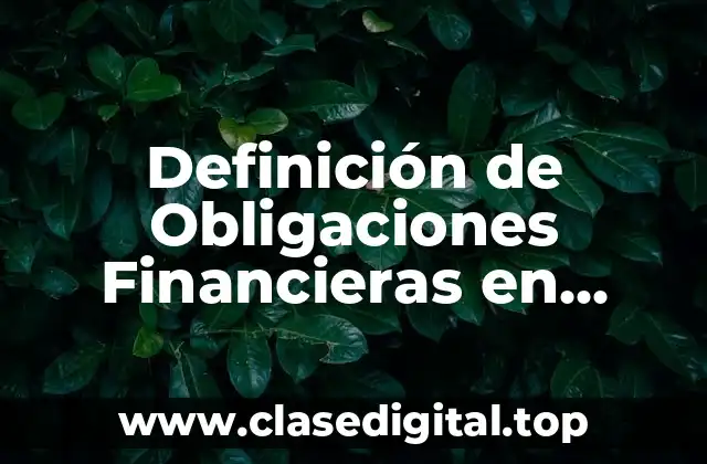 Definición de Obligaciones Financieras en Contabilidad