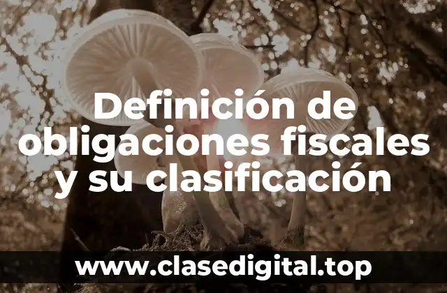 Definición de obligaciones fiscales y su clasificación