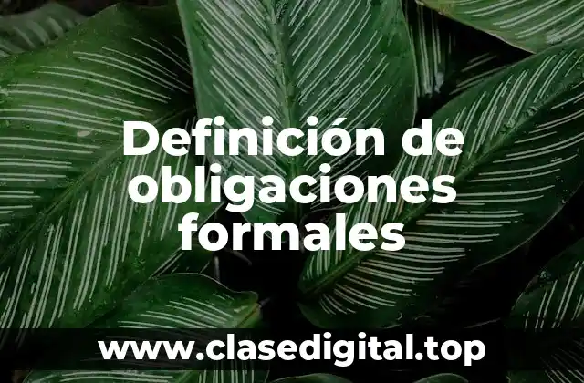 Definición de obligaciones formales