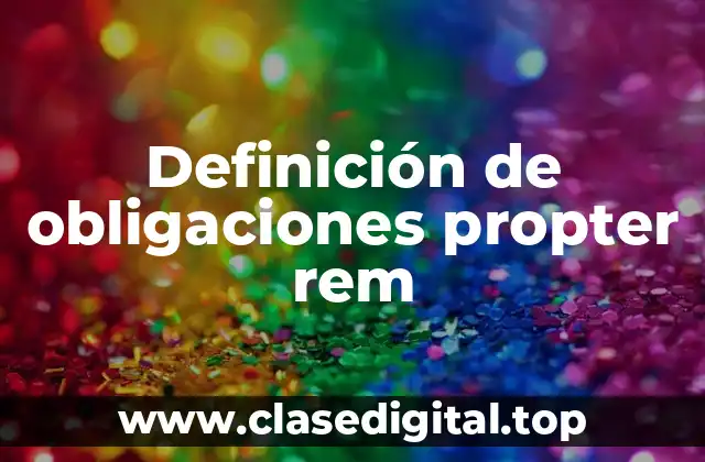 Definición de obligaciones propter rem