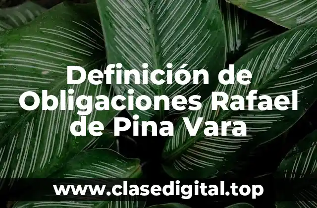Definición de Obligaciones Rafael de Pina Vara