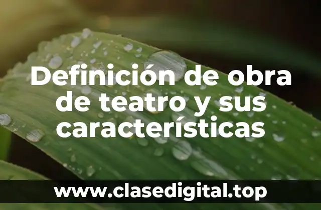 Definición técnica de obra de teatro