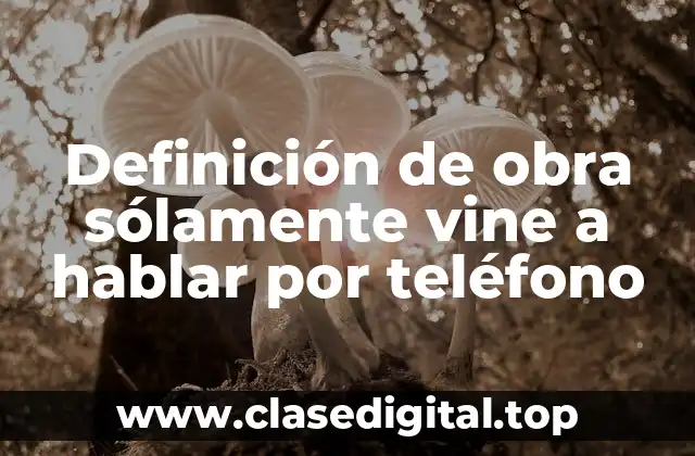 Definición técnica de obra sólamente vine a hablar por teléfono