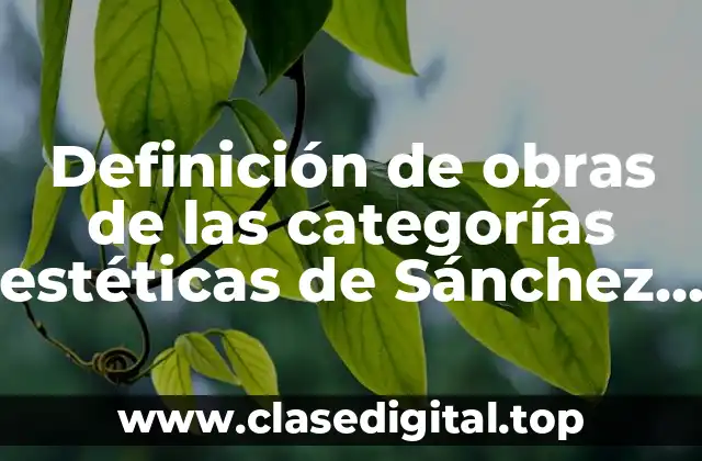 Ejemplos de obras de las categorías estéticas de Sánchez Vázquez