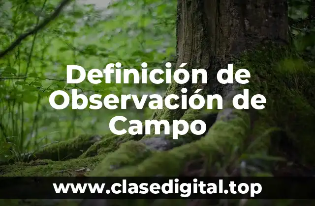 Definición de Observación de Campo