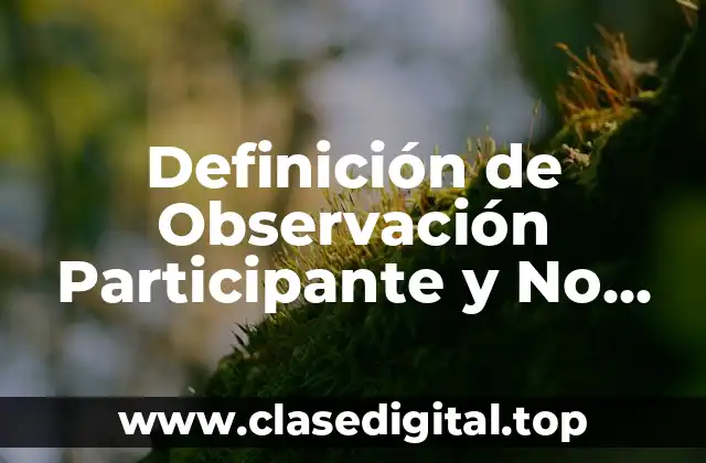Ejemplos de Observación Participante