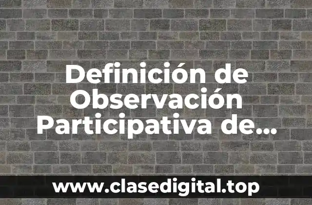 Definición de Observación Participativa de Datos en Trabajo Social