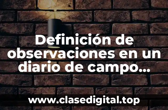 Definición de observaciones en un diario de campo preescolar