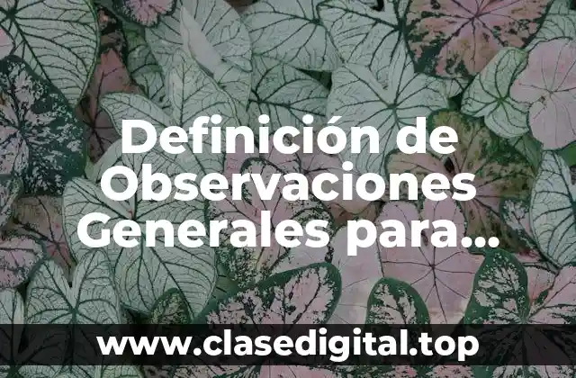 Definición de Observaciones Generales para Primaria