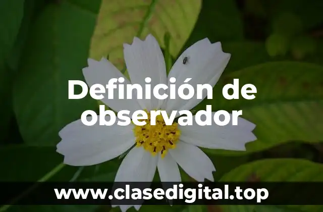 Definición de observador