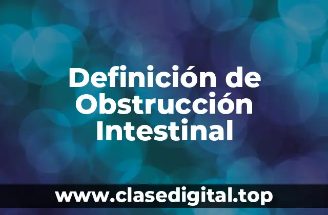 Definición Técnica de Obstrucción Intestinal