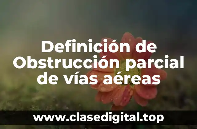 Definición de Obstrucción parcial de vías aéreas