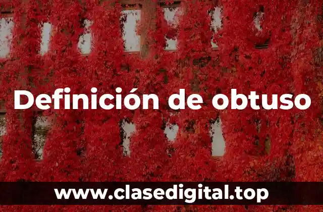 Definición de obtuso