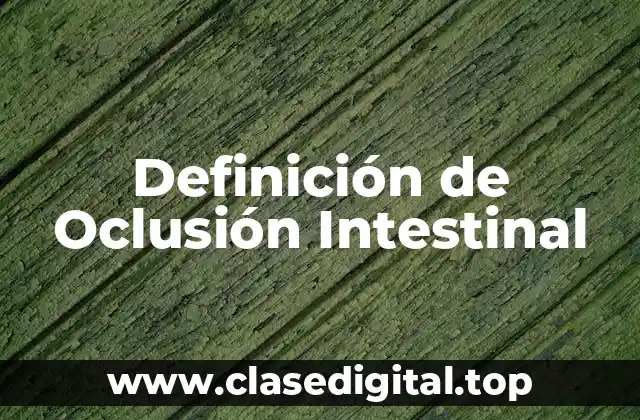 Definición de Oclusión Intestinal