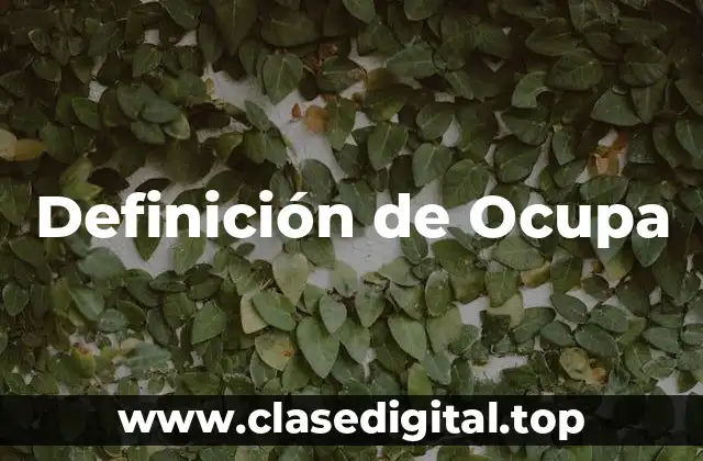 Definición de Ocupa