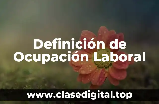 Definición de Ocupación Laboral