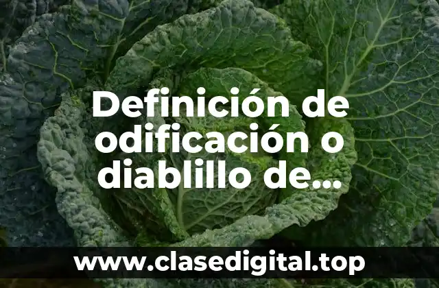 Definición de odificación o diablillo de Descartes