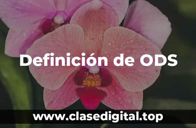 Definición técnica de ODS