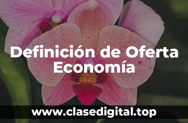 Definición de Oferta Economía