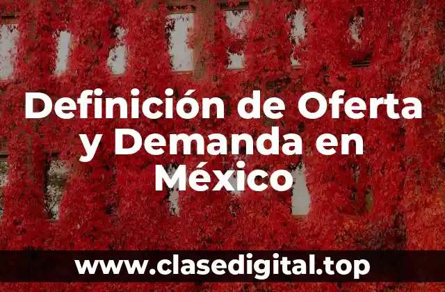 Definición de Oferta y Demanda en México