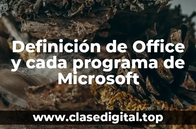 Definición de Office y cada programa de Microsoft